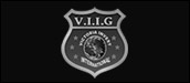 VIIG-logo