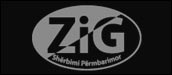 Zig-logo-B